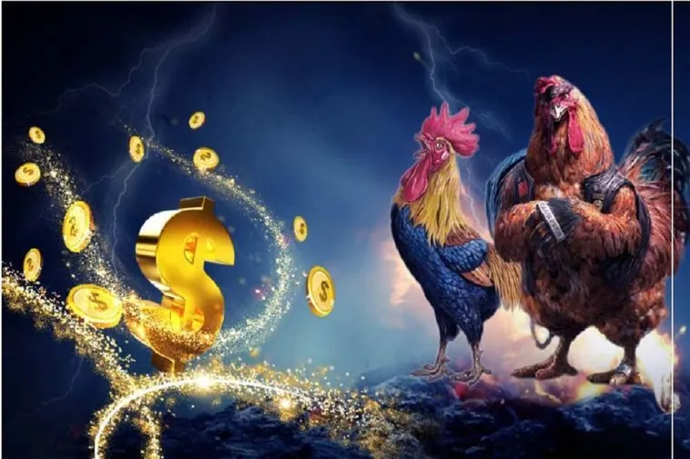 Chinh Phục Sàn Đấu Đá Gà Xoso66 Đỉnh Cao Nhận Thưởng Lớn Ngay