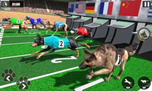 Tuyệt Chiêu Cách Chơi Game Nhanh Đua Chó Tại Xoso66 Về Đích Thắng Lớn