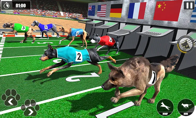 Tuyệt Chiêu Cách Chơi Game Nhanh Đua Chó Tại Xoso66 Về Đích Thắng Lớn