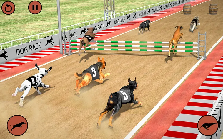 Tuyệt Chiêu Cách Chơi Game Nhanh Đua Chó Tại Xoso66 Về Đích Thắng Lớn